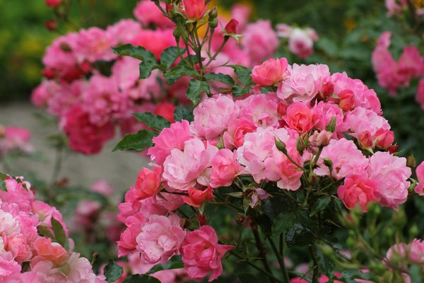 Hoe kun je een zwembad veilig maken voor kleine kinderen?